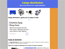 Tablet Screenshot of calagedistribution.com